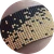 Tony Brick Stitch Logo